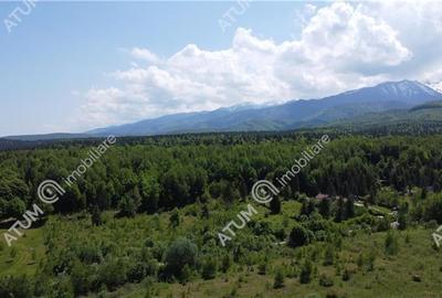 Teren intravilan de vanzare in Avrig zona Valea Avrigului - 6