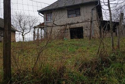 Casă individuală cu 5 camere cu Teren 25000 Mp în Preoteasa - 2