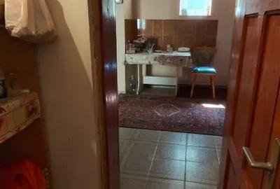 Casă cu 3 camere cu Teren 5000 Mp în Comloșu Mic - 2