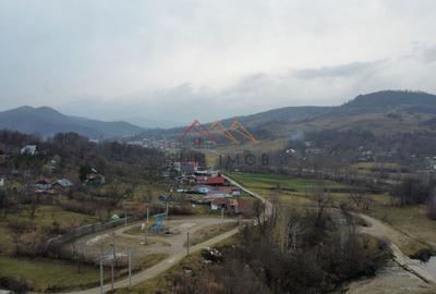 Teren 36000 m2, intravilan+partial extravilan, cadastru, Draganeasa PH - 7