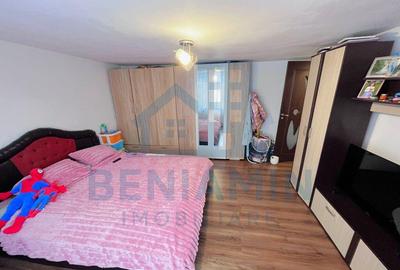 Casa mobilata utilata Brestei Promenada renovata 184mp teren - 5