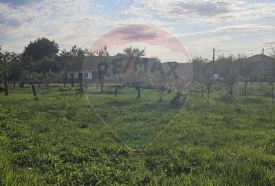 Casă cu Teren 1439 Mp în Darova - 5