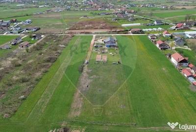 Teren de 1343 mp, în Cătălina - 4