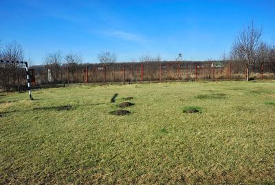 Teren intravilan 2.100 mp acces lac și utilități, Siliștea Snagovului - 2