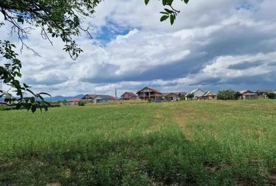 Casa cu teren orasul Roznov judetul Neamt 1550 mp - 9