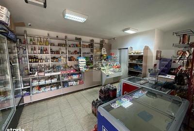 Spațiu comercial, de 70 mp, în Paltin - 2