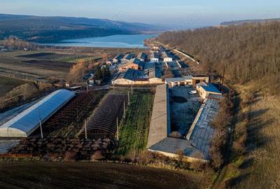 Spațiu comercial, de 50,000 mp, în Horgești - 17