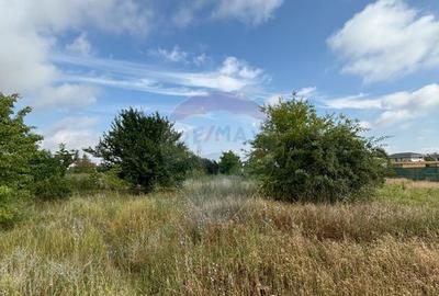 Teren Corbeanca, zona case/vile noi - 4