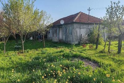 Casă cu Teren 5000 Mp în Unguriu - 2
