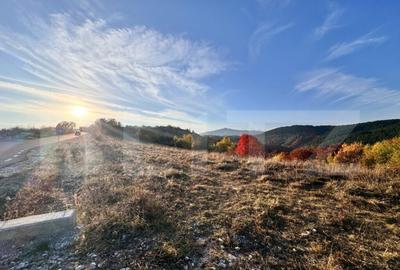 Teren de vanzare la drum asfaltat Ramet - 4