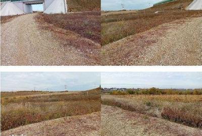 Teren de 2950 mp, în Albota - 8
