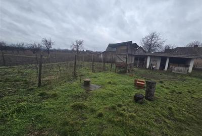 Casă cu 2 camere cu Teren 2685 Mp în Tăuteu - 20