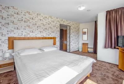 Pensiune Turistica Montana - 20