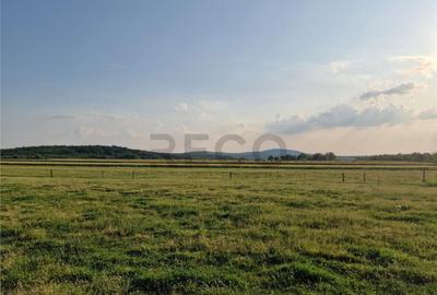 RECO parcele in Felcheriu - 4