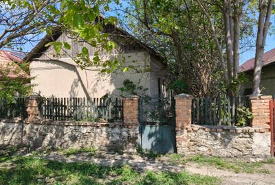 Casă individuală cu 3 camere cu Canalizare în Lumina - 3