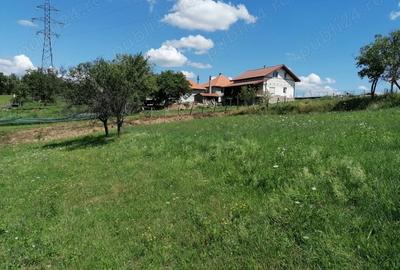 Teren de 8000 mp, în Dealu Mare