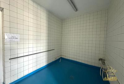Spatiu industrial - productie alimentara de vanzare str. Fabricilor - 3
