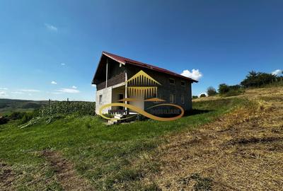 Casa de vanzare in Secuieni / Bacau - 2