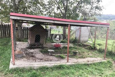 Teren de 6800 mp, în Mogoșești - 14