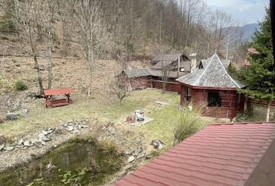 Casă cu 4 camere cu Teren 2985 Mp în Tarcău - 12