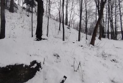 Casă cu 3 camere în Urseiu - 8