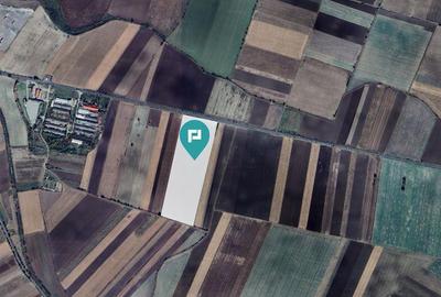 Teren Industrial in ?eitin, Jude?ul Arad - 1