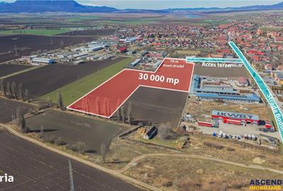 Spațiu comercial, în Hălchiu - 6