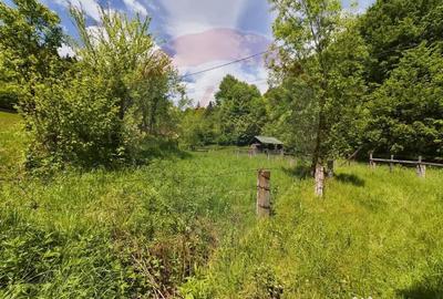 Casă cu 3 camere cu Teren 1614 Mp în Sita Buzăului - 9