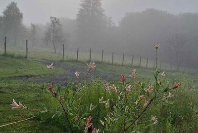 Spațiu comercial, în Tătărăști - 5