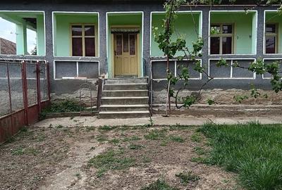 Casă cu Teren 2453 Mp în Roșia de Secaș - 1
