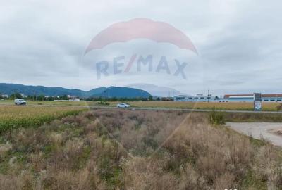 Teren de 440 mp, în Baciu - 13