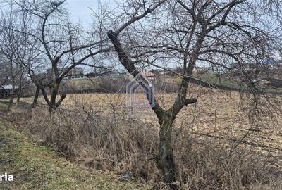 Teren de 2000 mp, în Moara - 3