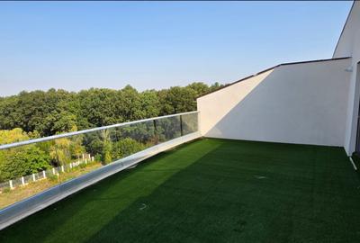 Pipera/Matei Basarab/ Penthouse cu 4 camere/ Parcare/ Pipera/Matei Basarab/ Penthouse cu 4 camere/ Parcare/ - 10