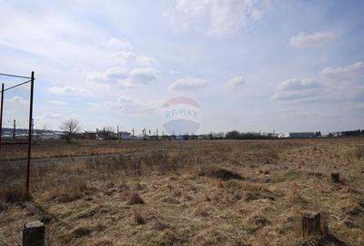 Teren Construcții intravilan de 2900 mp, în Șcheia