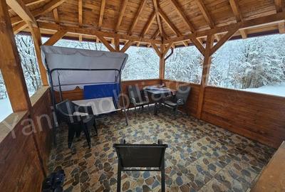 Casă în Brădetu - 6