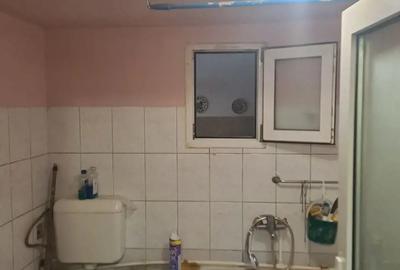Proprietar vand 2 case in aceeasi curte