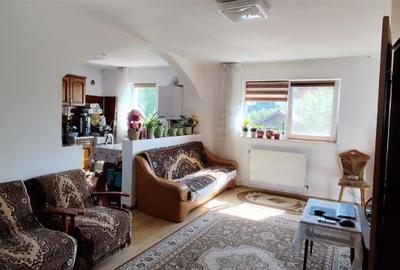 De vanzare vila compusa din 3 apartamente - 3