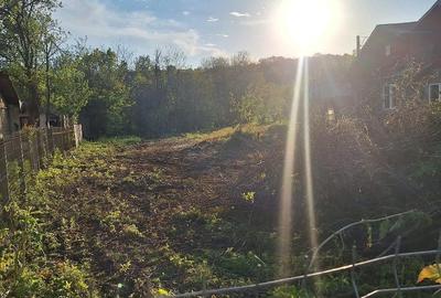 Teren de 1311 mp, în Dâmbu - 1