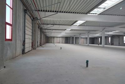Hala beton,4200 mp+curte betonata 3000 mp,ISU,trafo 630 kw - 2