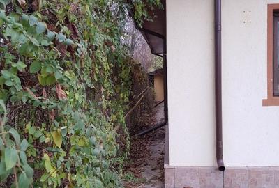 Casă cu 3 camere cu Teren 700 Mp în Central - 7