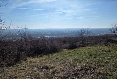 Teren Construcții intravilan de 6900 mp, în Dealuri Oradea - 4