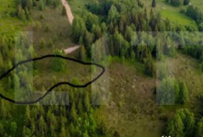 Teren de 3132 mp, în Arieșeni - 1