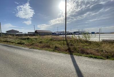 Teren agricol extravilan de 15000 mp, în Albota - 3