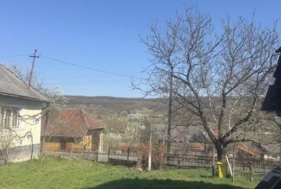 Casă cu 3 camere cu Teren 3500 Mp în Băița - 6