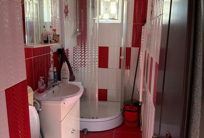 Apartament cu 2 camere semidecomandat în Central - 5