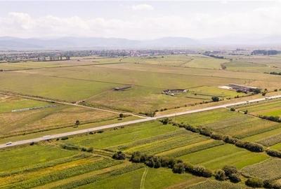 Teren extravilan Lunca Calnicului langa E574 - 15
