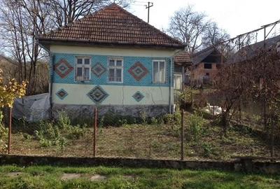 Casă cu Teren 5000 Mp în Mineu - 2