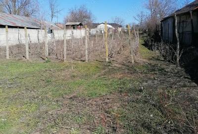Teren de 712 mp, în Vădăstrița - 4