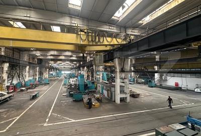 Hale de productie si spatii de birouri, zona de Nord - 1