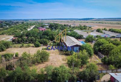 Teren 9000 mp intravilan Fundeni-Calarasi ideal investitie - 4